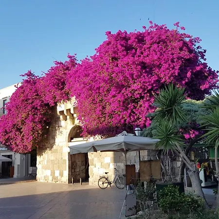 Aqua Blu Boutique & Spa, Adults Only- Small Luxury Of The World 호텔 5*